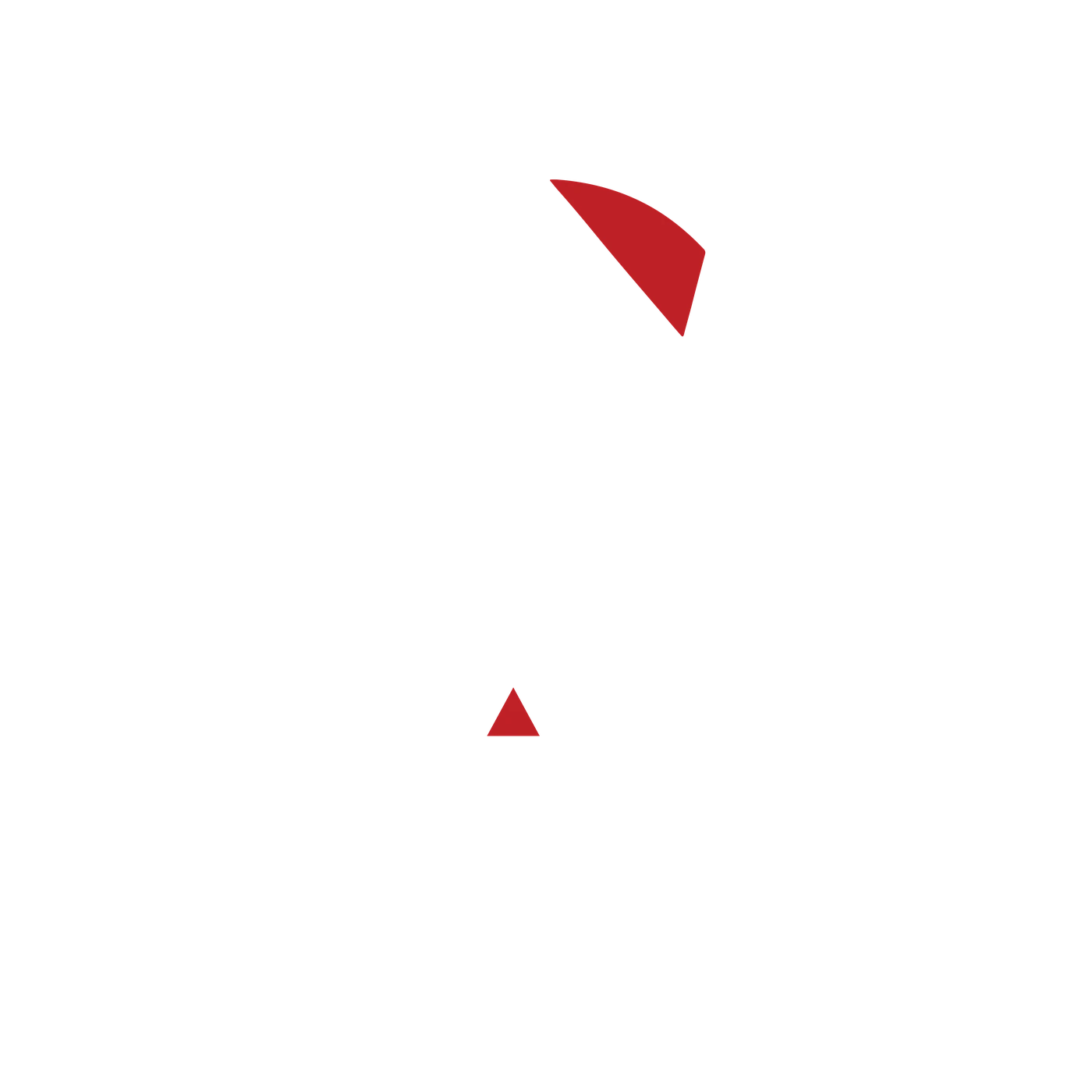 Niahl Security logo — Observe, Assess, Protect, Advance